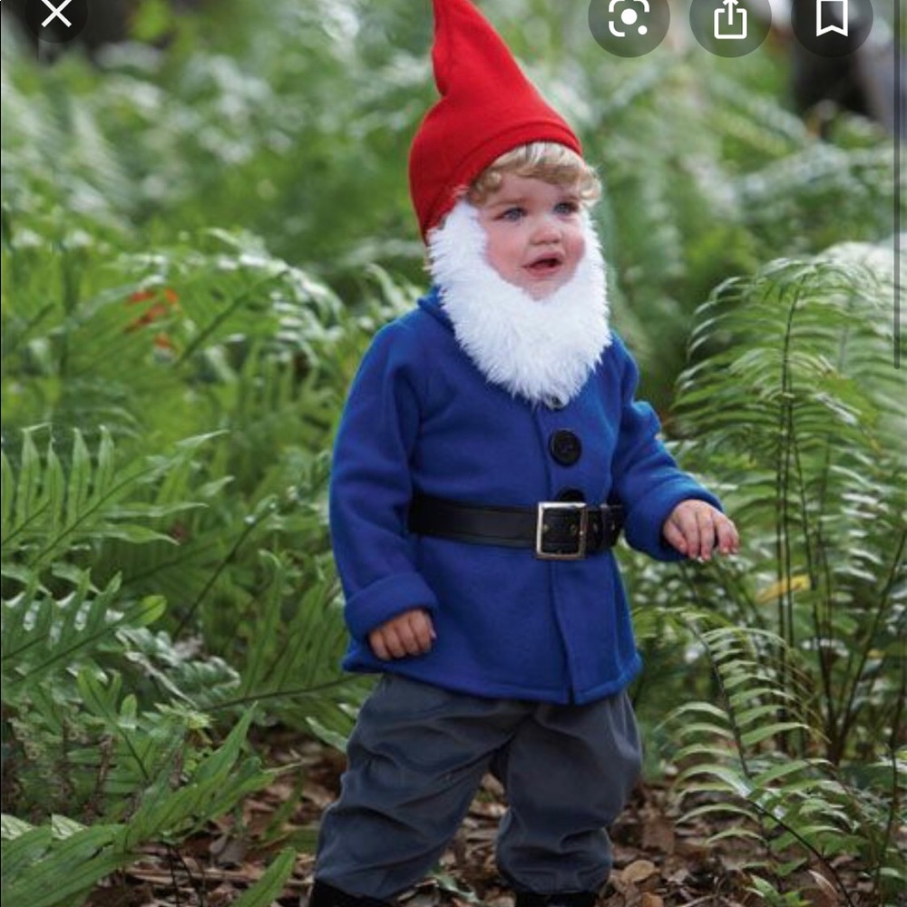 Gnome costume